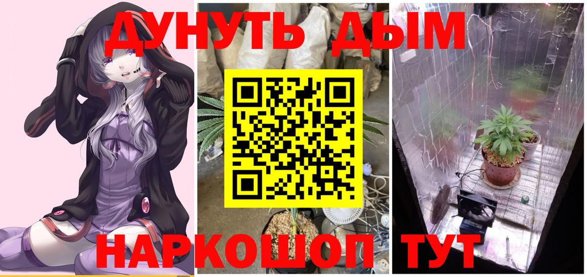 Бошки Шишки ГИДРОПОН  Бошки марихуана Ganja  Конопля OG Kush  Вход с VPN  Саранск 